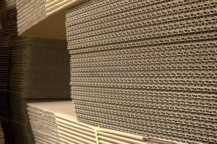 European Paper Board Production Declined in 2022